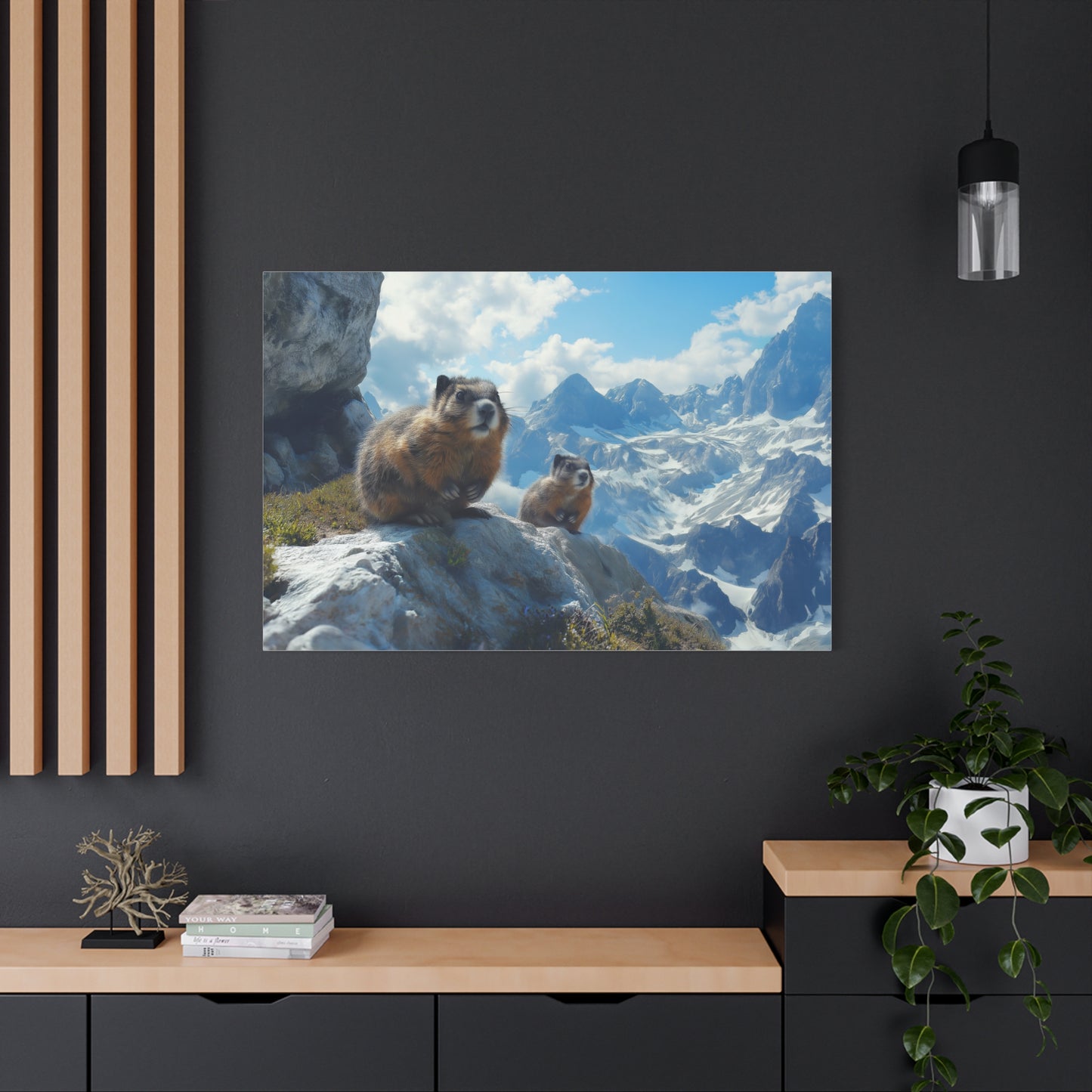 Marmottes des Sommets : Évasion Alpine