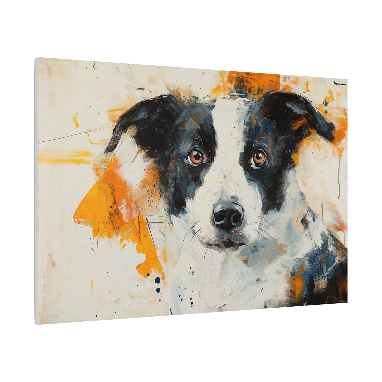 Chien et Couleurs