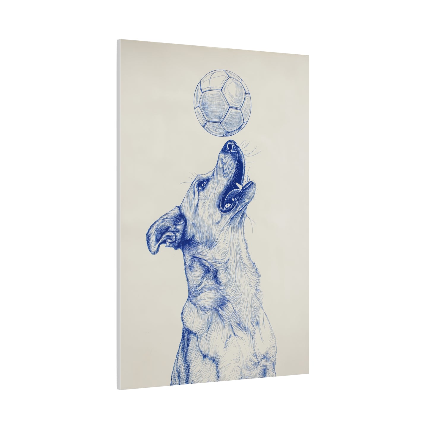 L'Art du Football du bout de la Truffe