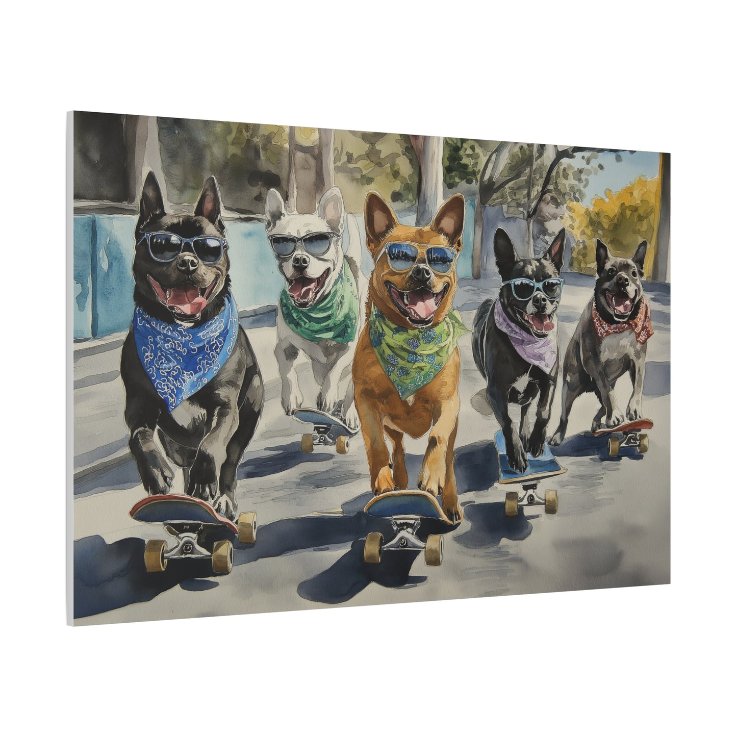 Chiens sur Roulettes en Liberté Totale