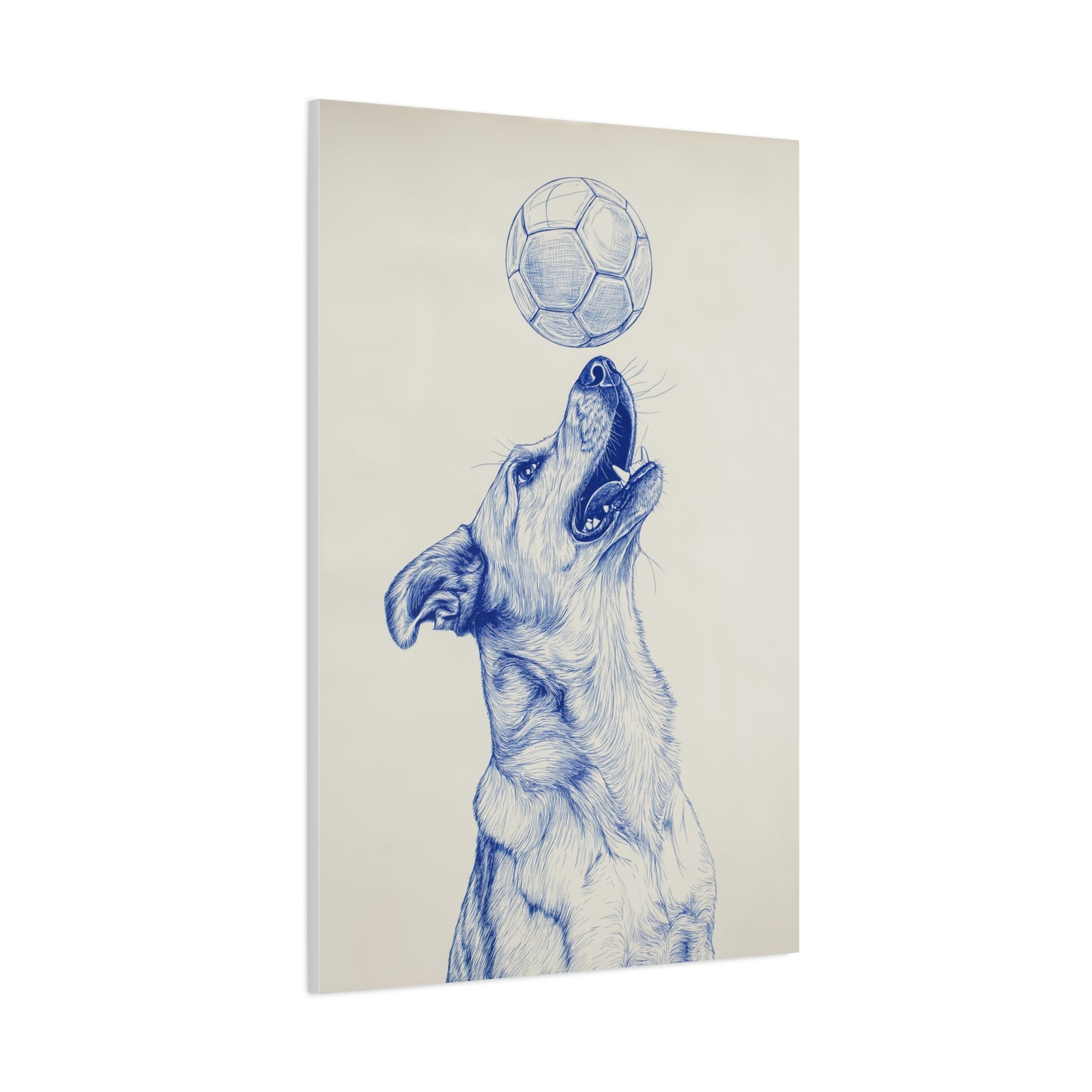 L'Art du Football du bout de la Truffe