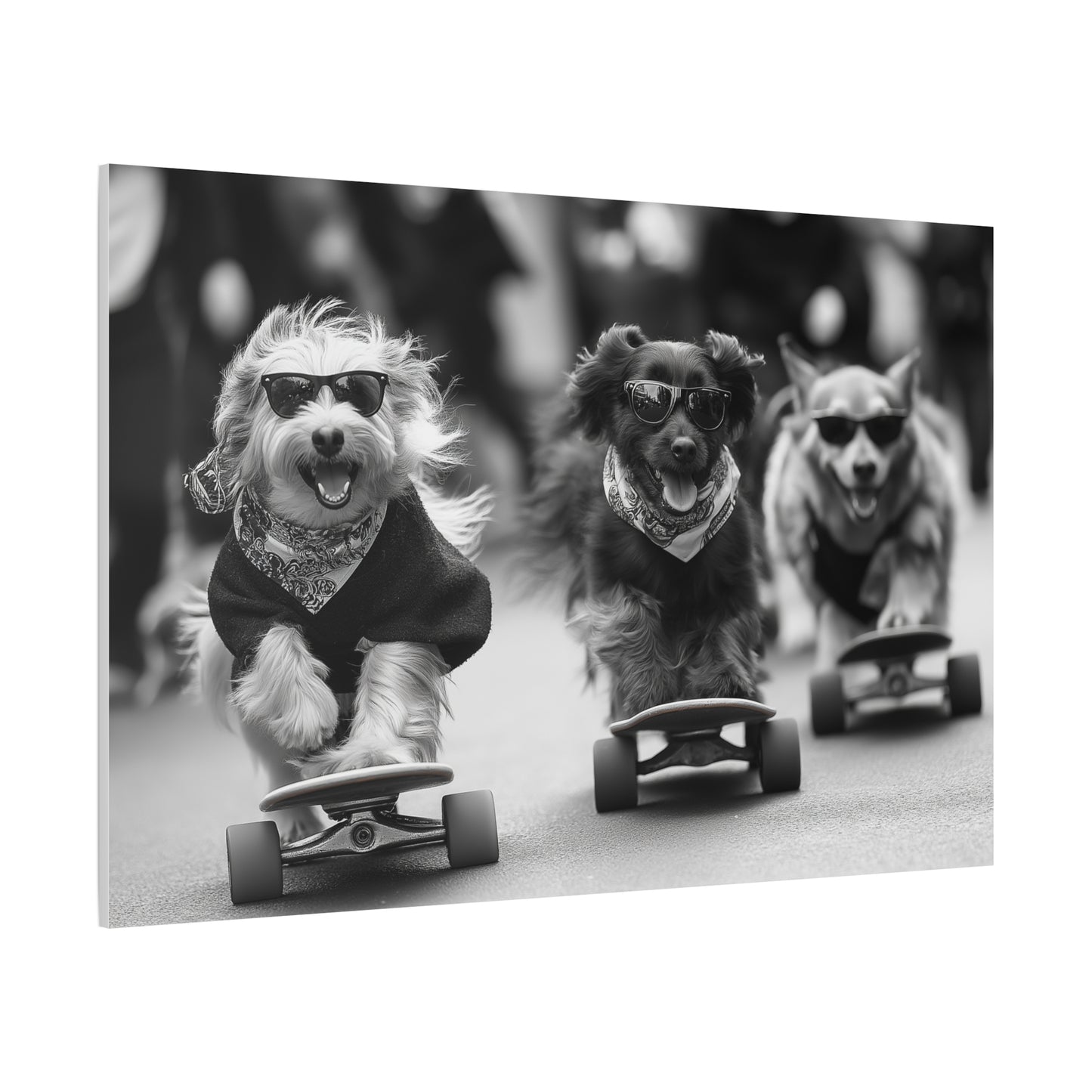 Chiens en Véloce Style Skateboard