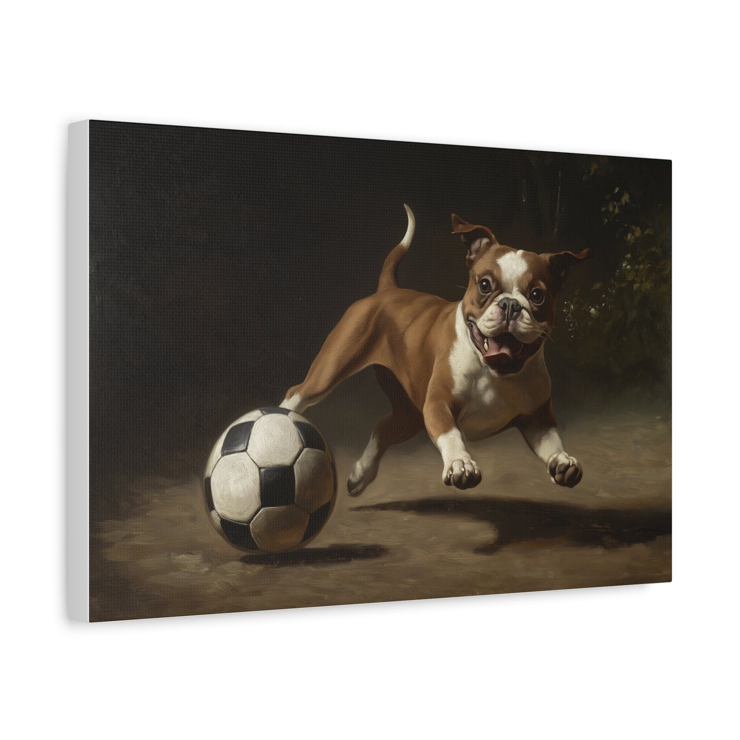 Chien jouant avec un Ballon