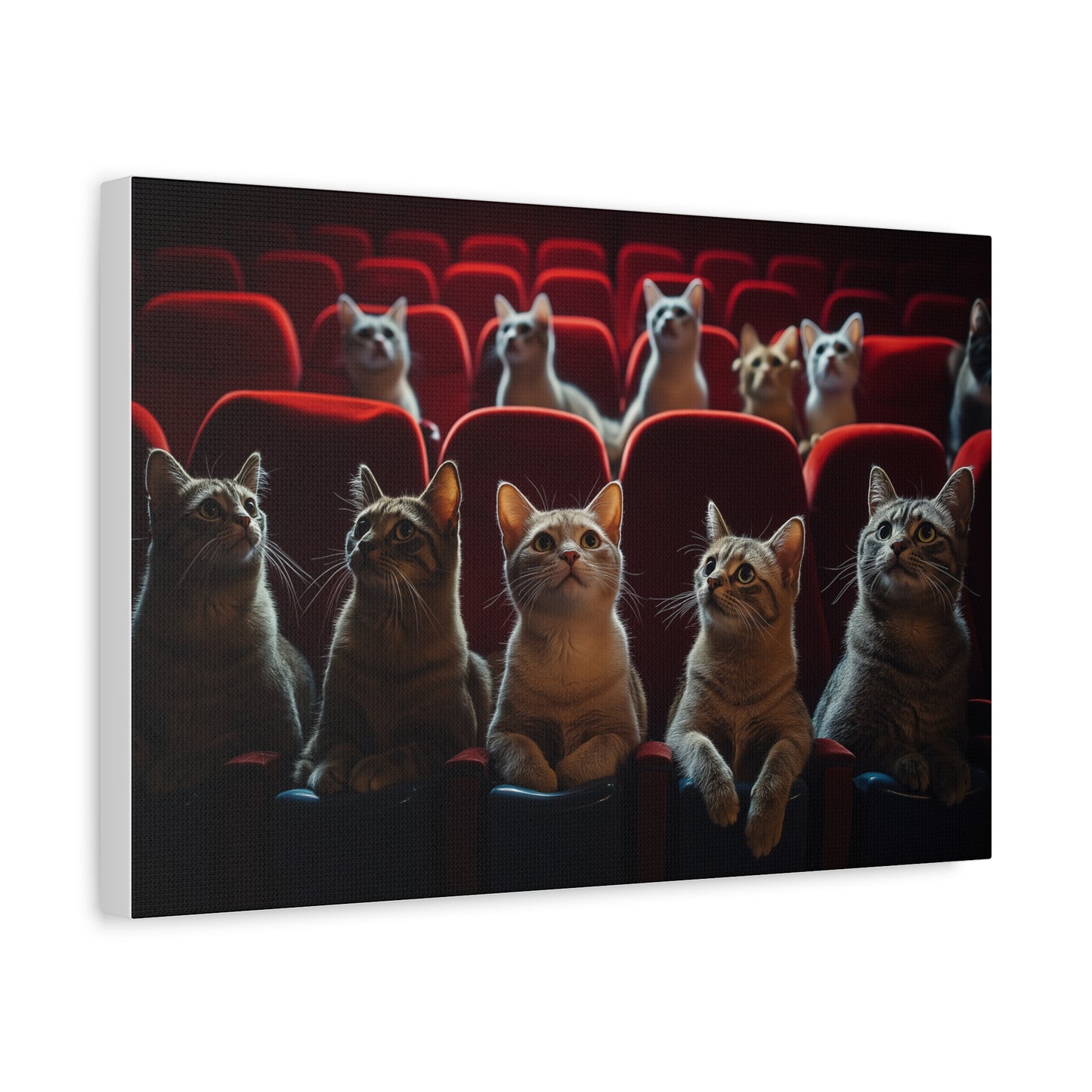 Chats au Cinéma : Soirée Câline