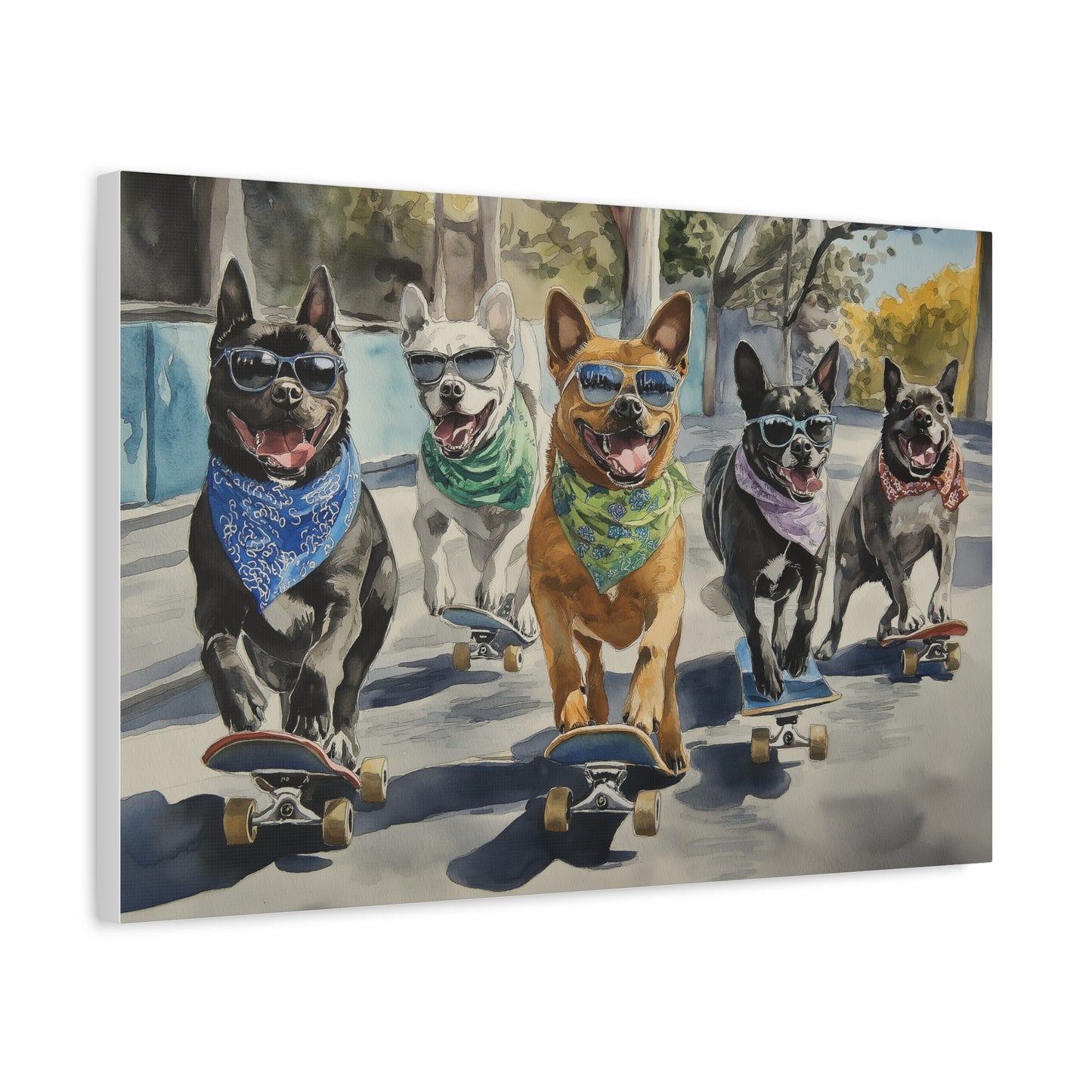 Chiens sur Roulettes en Liberté Totale