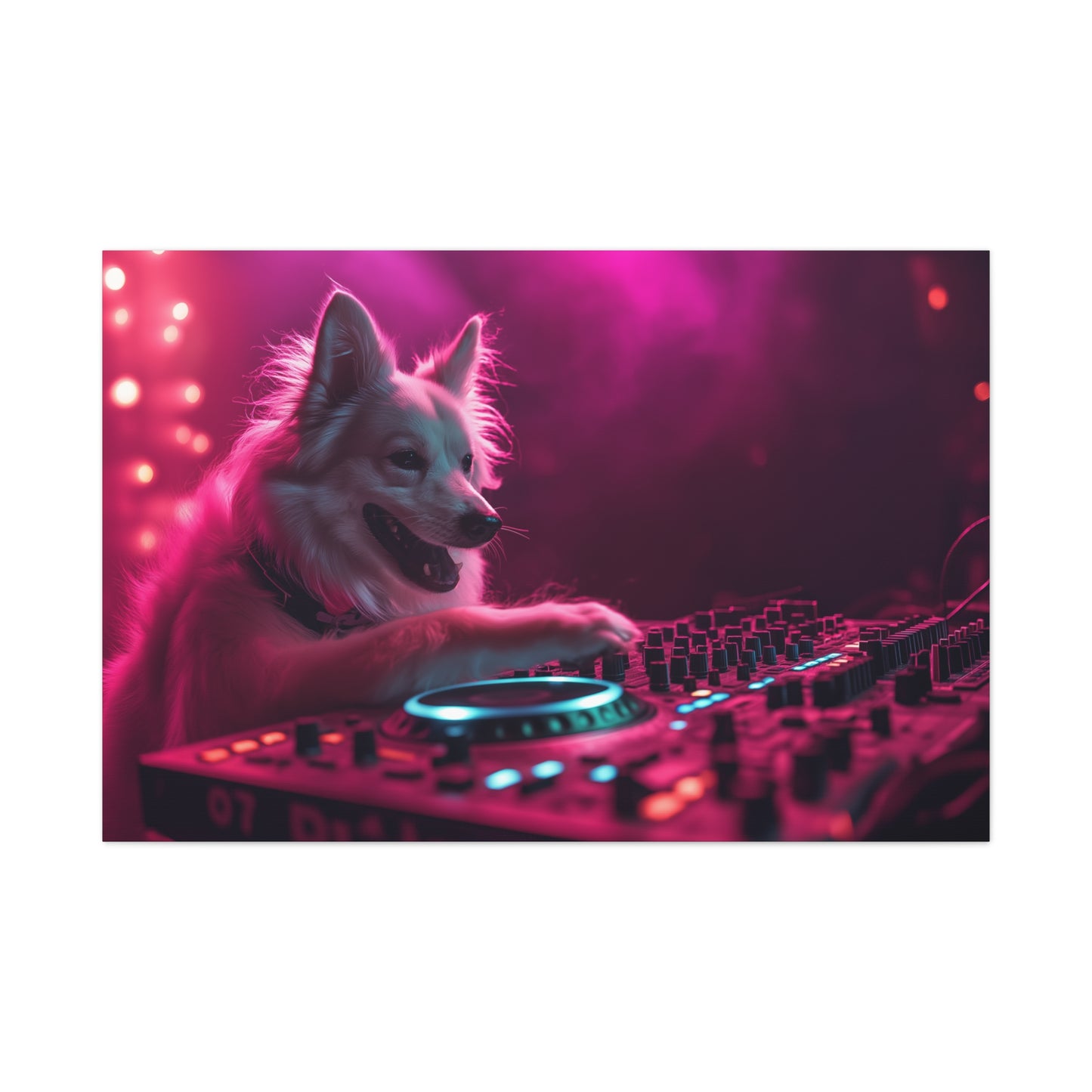DJ Canin en Pleine Action