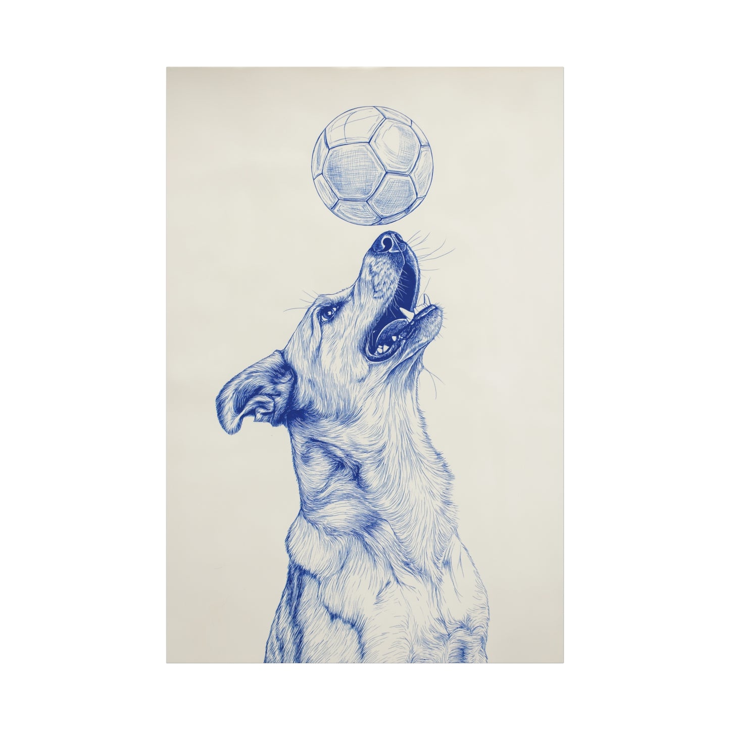 L'Art du Football du bout de la Truffe