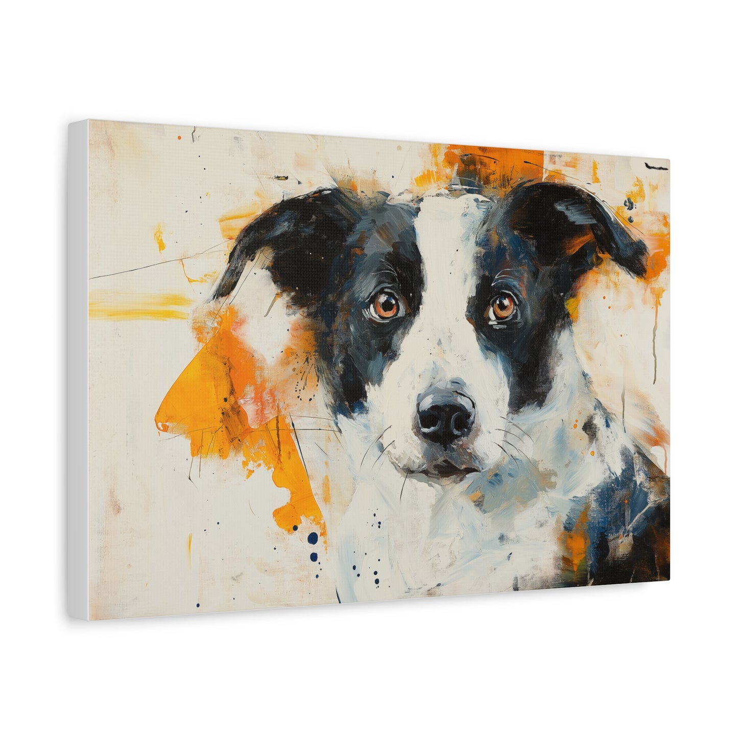 Chien et Couleurs