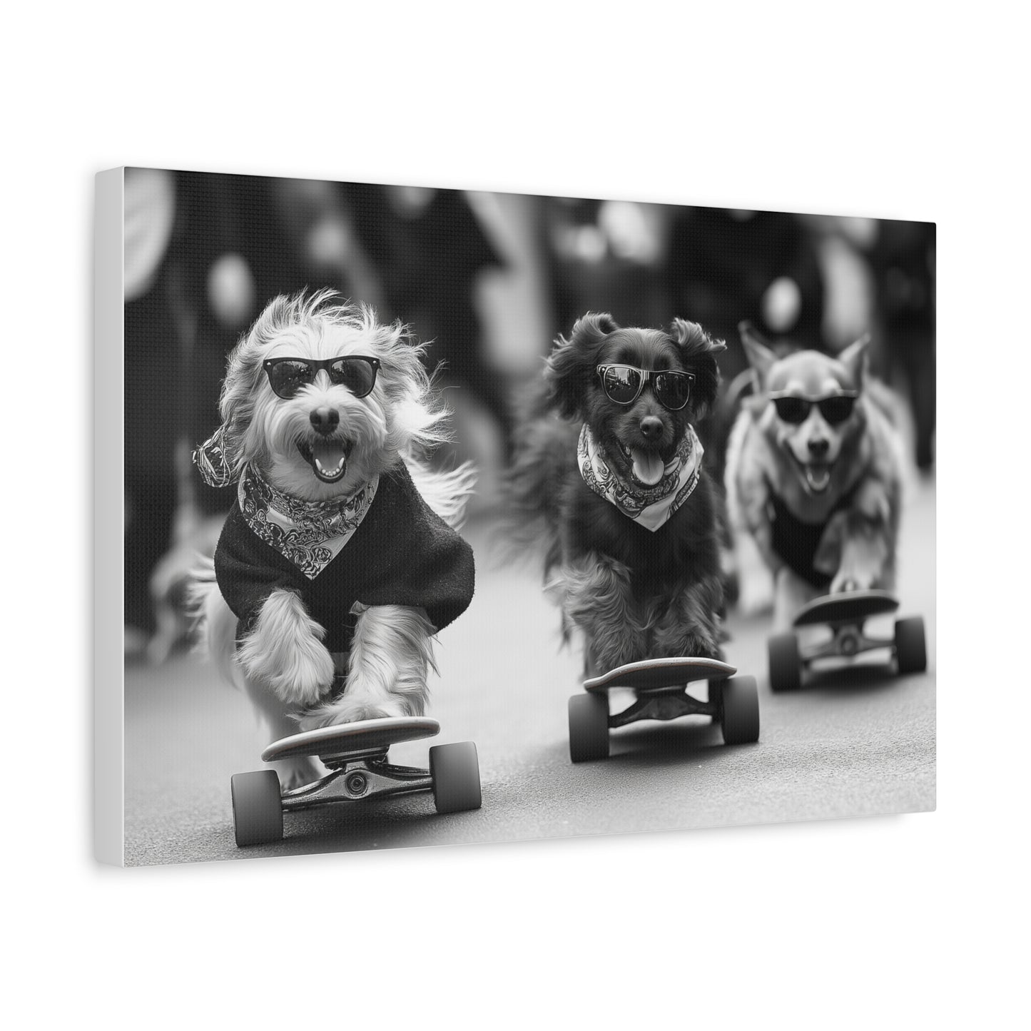 Chiens en Véloce Style Skateboard