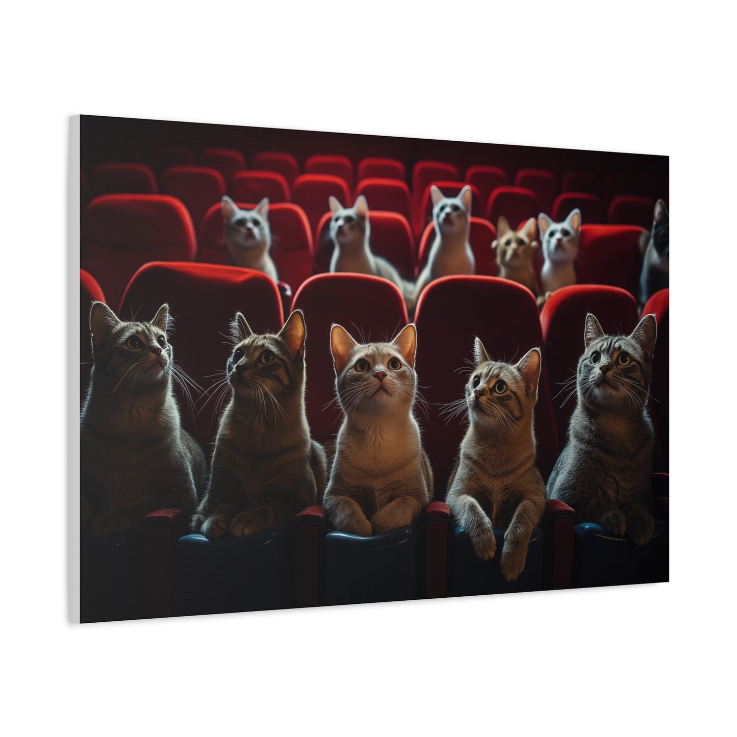 Chats au Cinéma : Soirée Câline