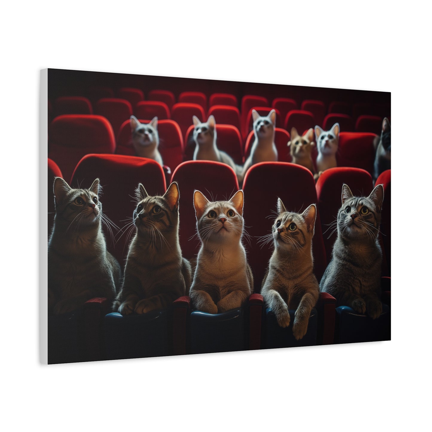 Chats au Cinéma : Soirée Câline