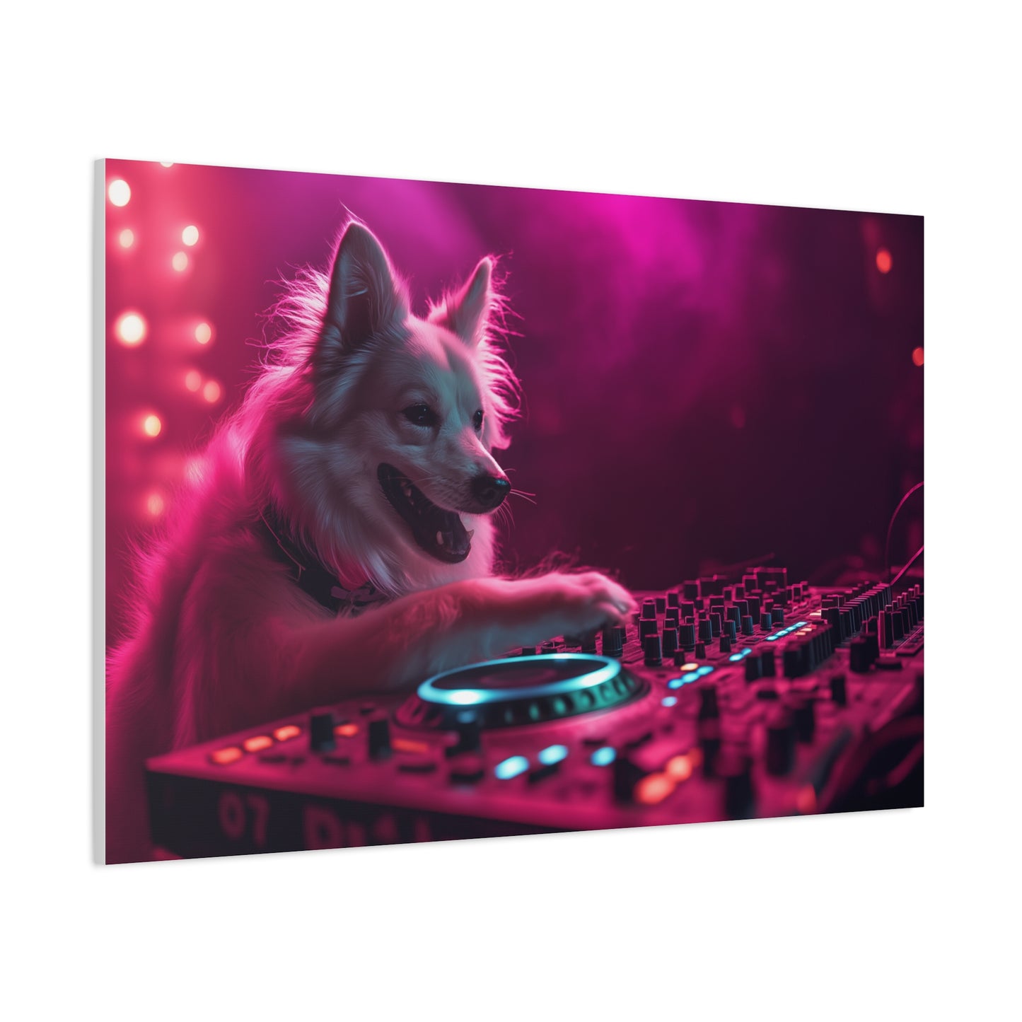DJ Canin en Pleine Action