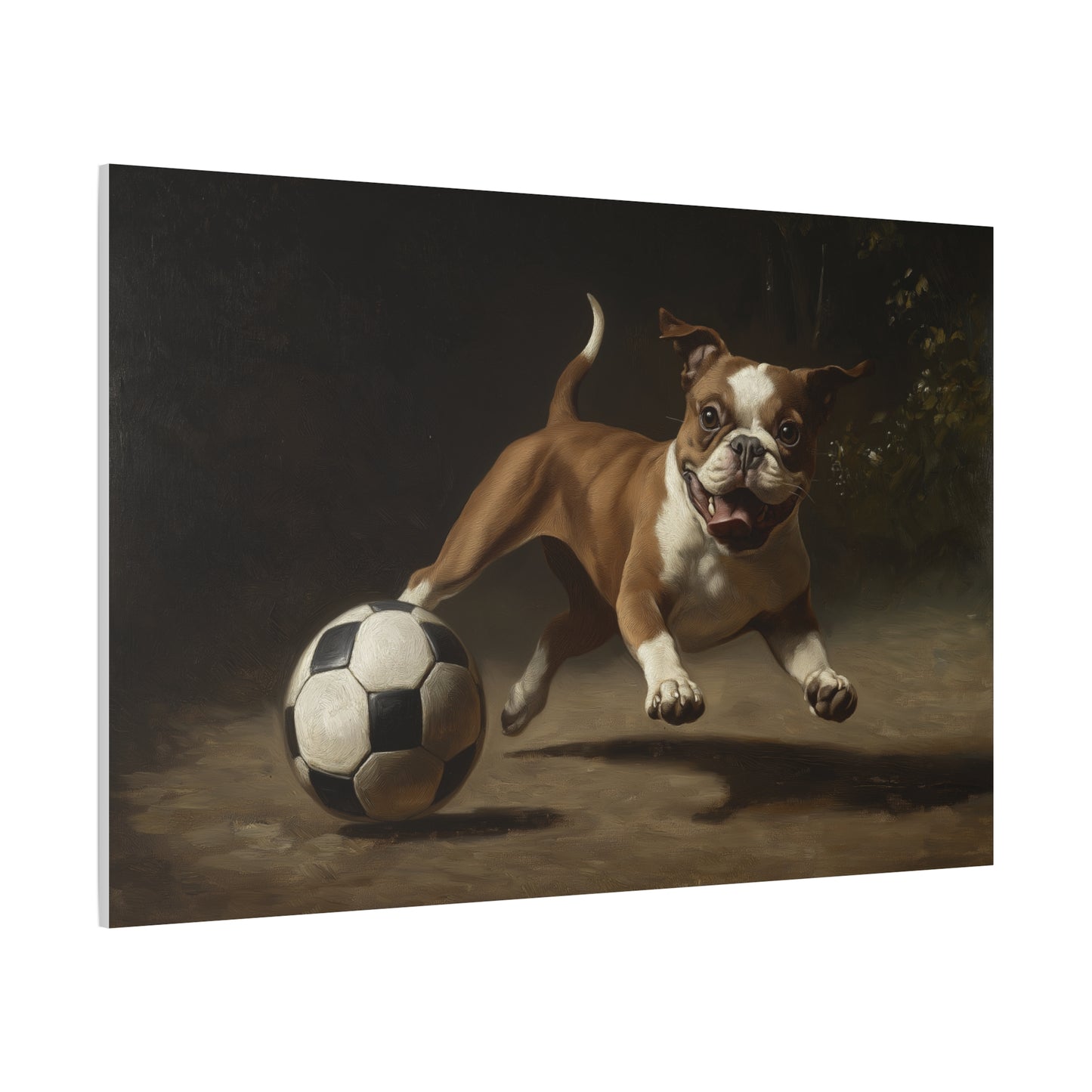 Chien jouant avec un Ballon