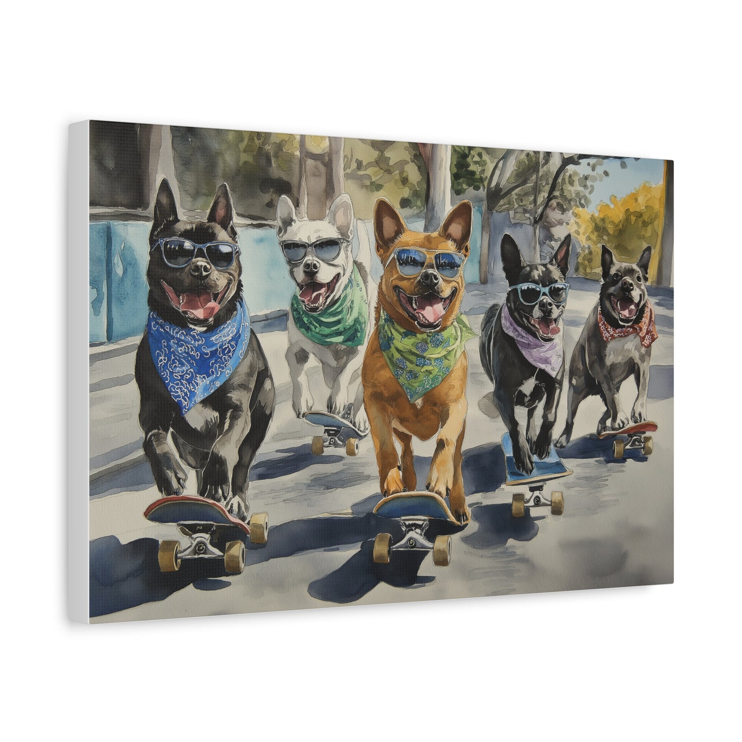 Chiens sur Roulettes en Liberté Totale