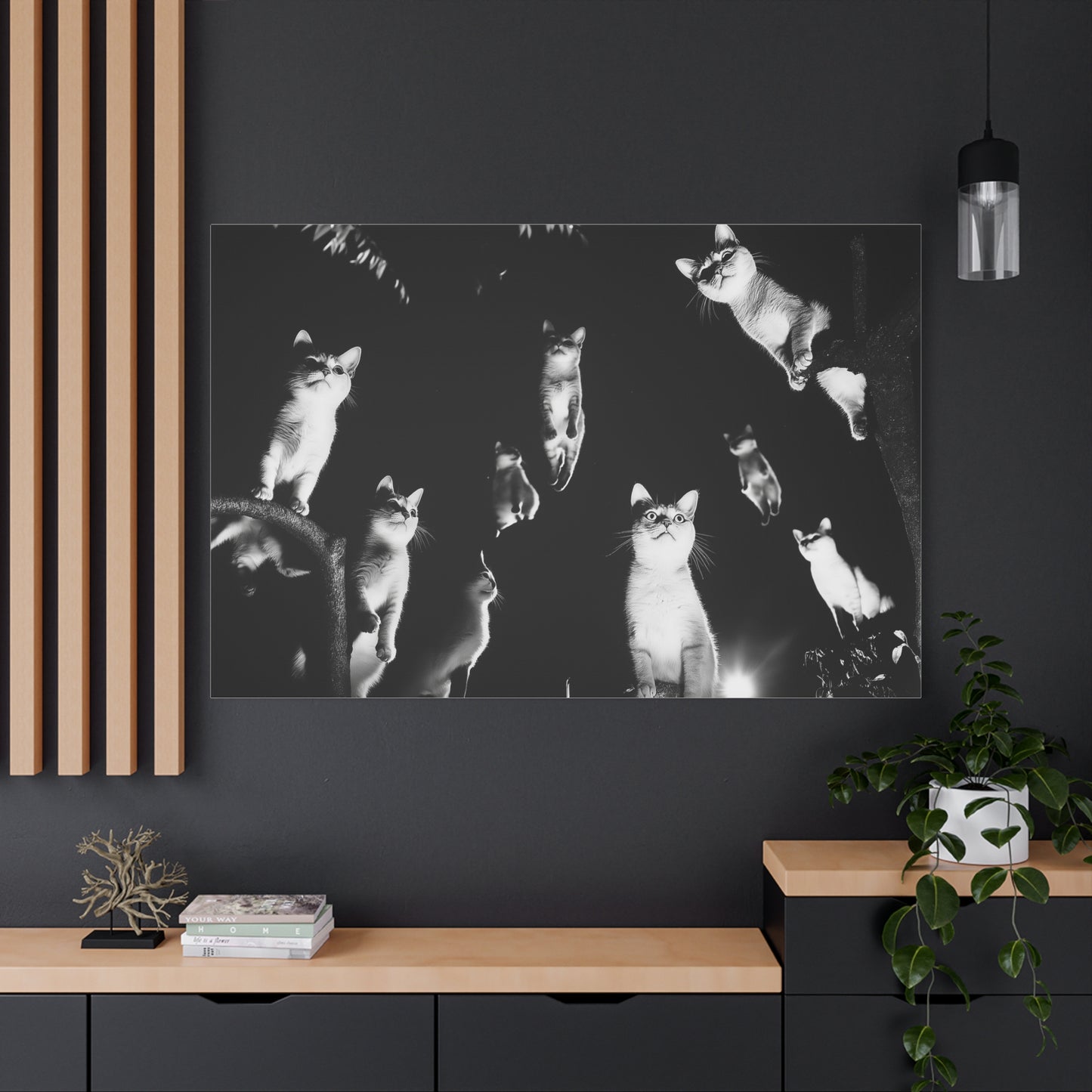 Chorus Céleste Félin Enchanté