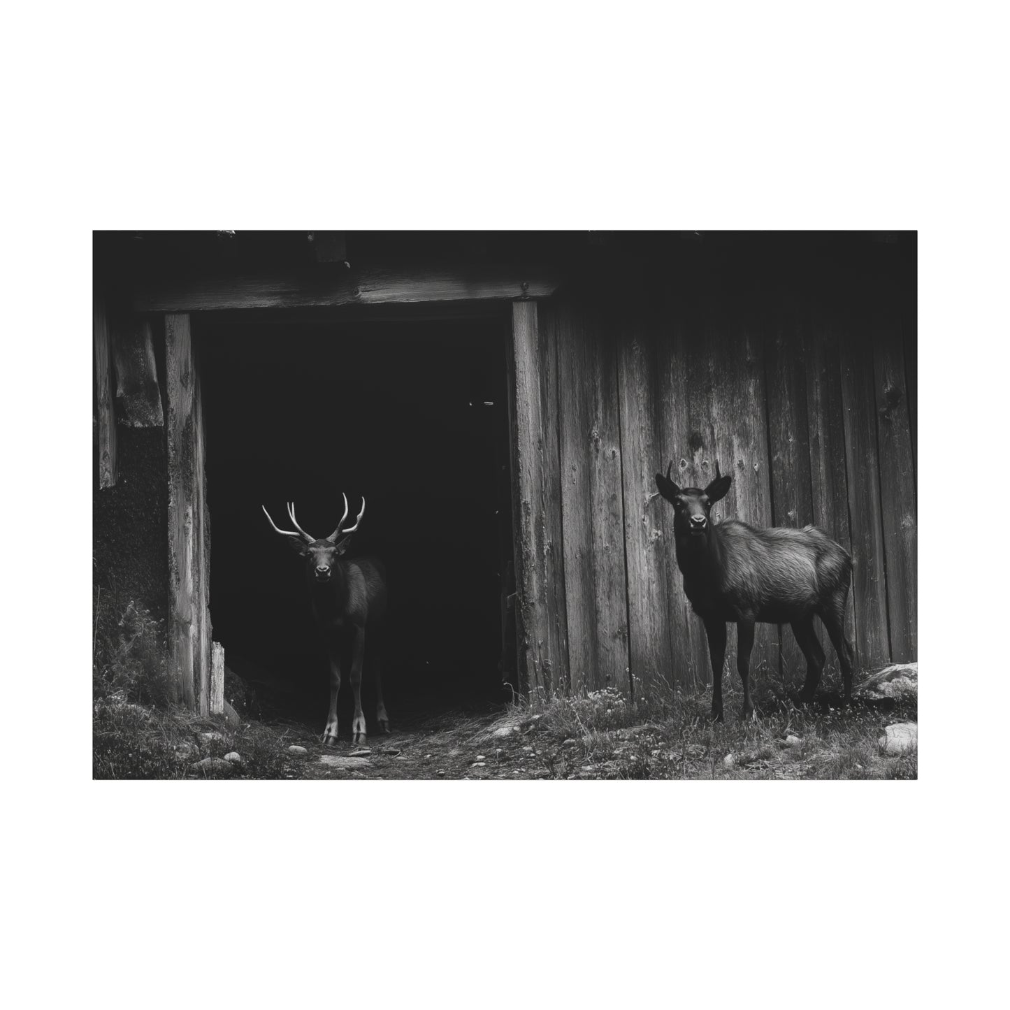 Visite Inattendue au Crépuscule