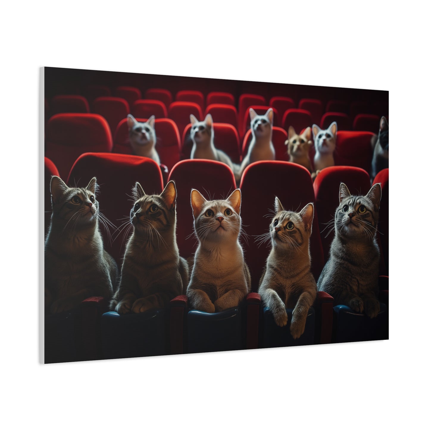 Chats au Cinéma : Soirée Câline