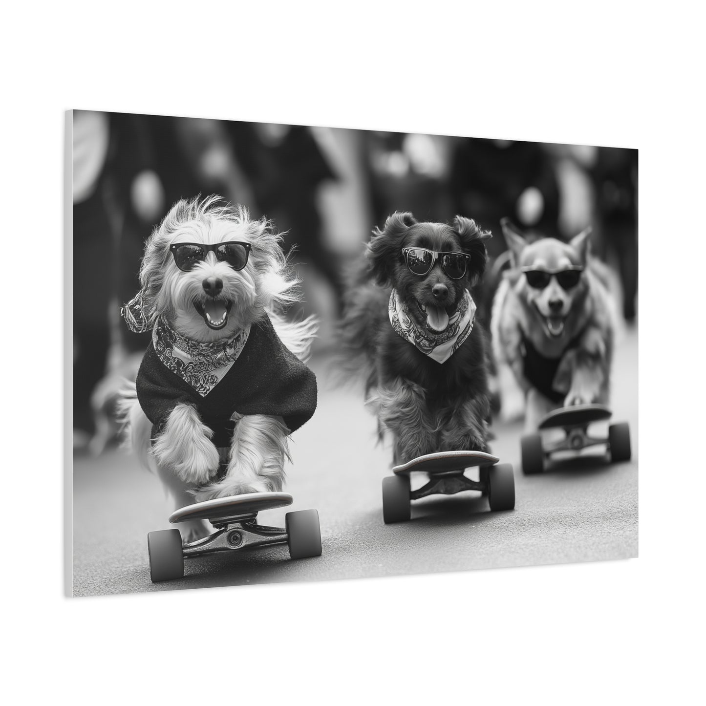Chiens en Véloce Style Skateboard