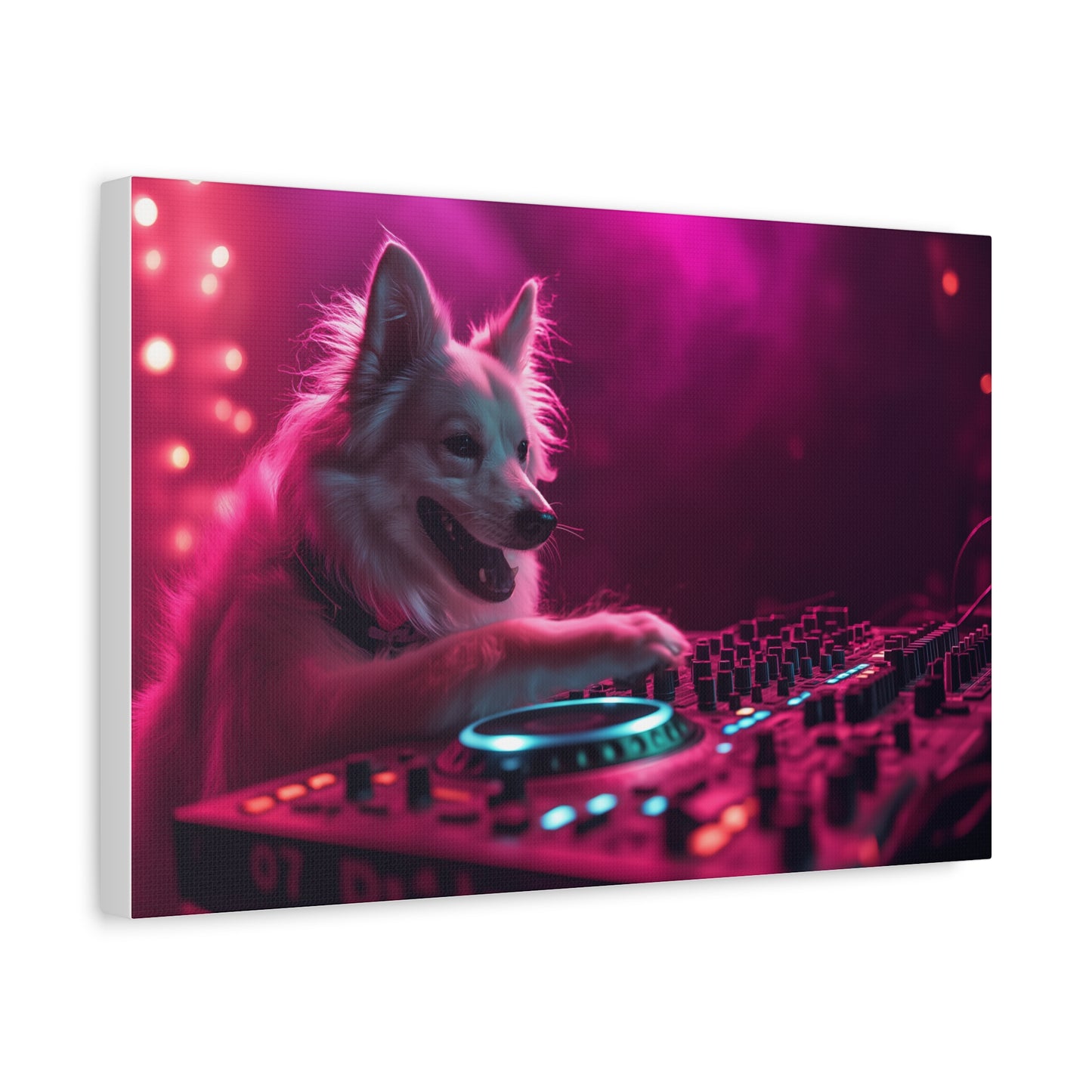 DJ Canin en Pleine Action