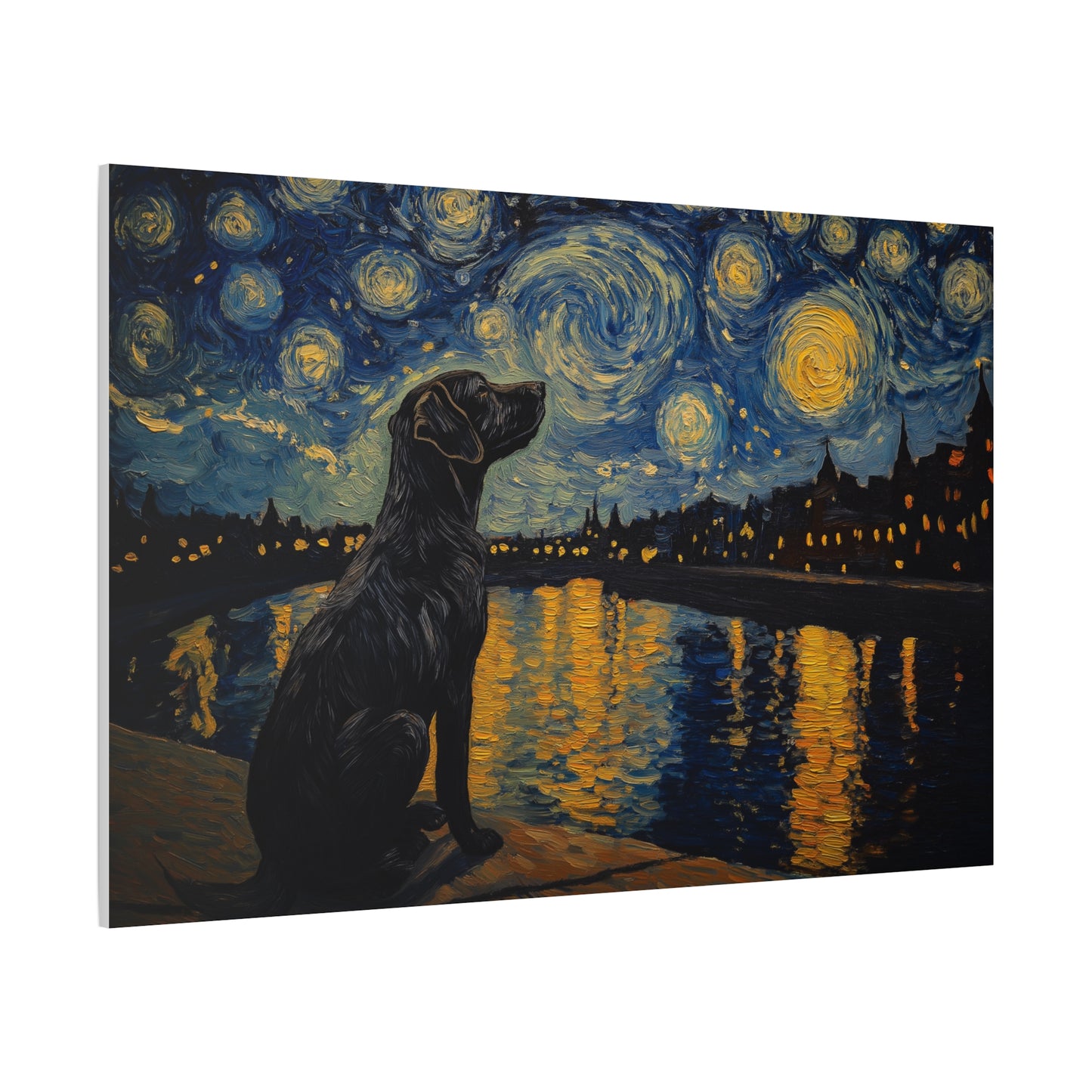 Chien sous les étoiles scintillantes