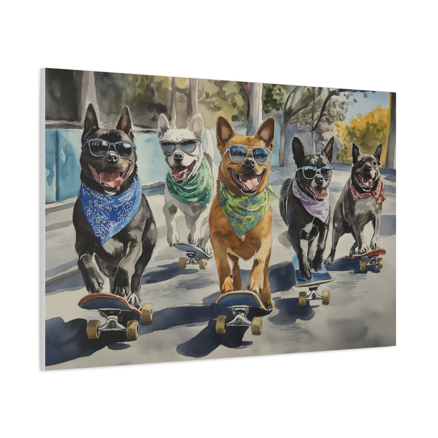 Chiens sur Roulettes en Liberté Totale