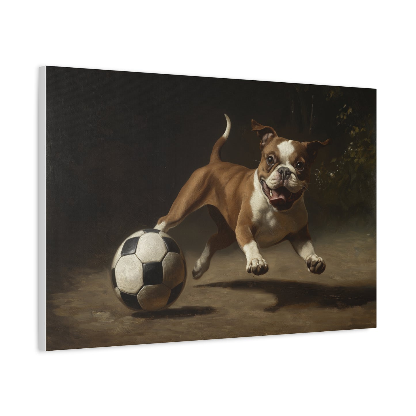 Chien jouant avec un Ballon
