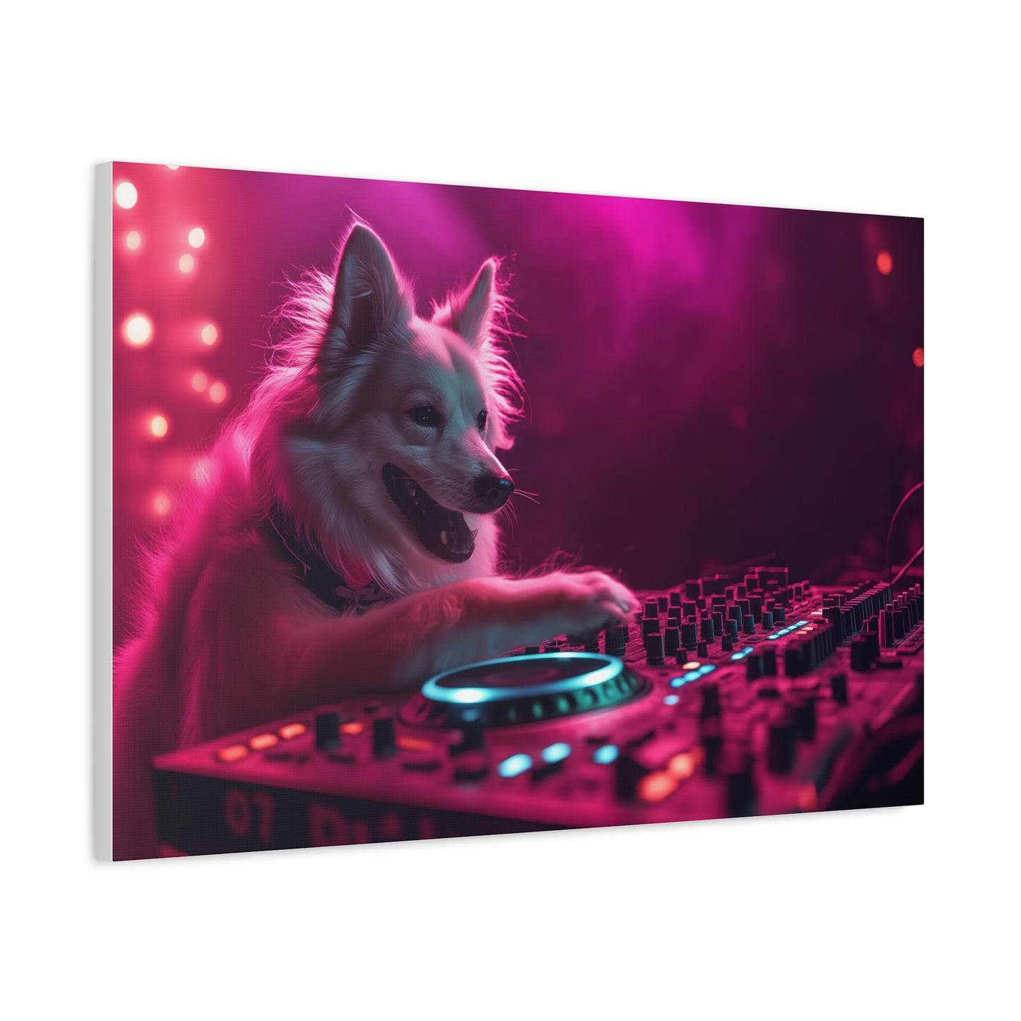 DJ Canin en Pleine Action