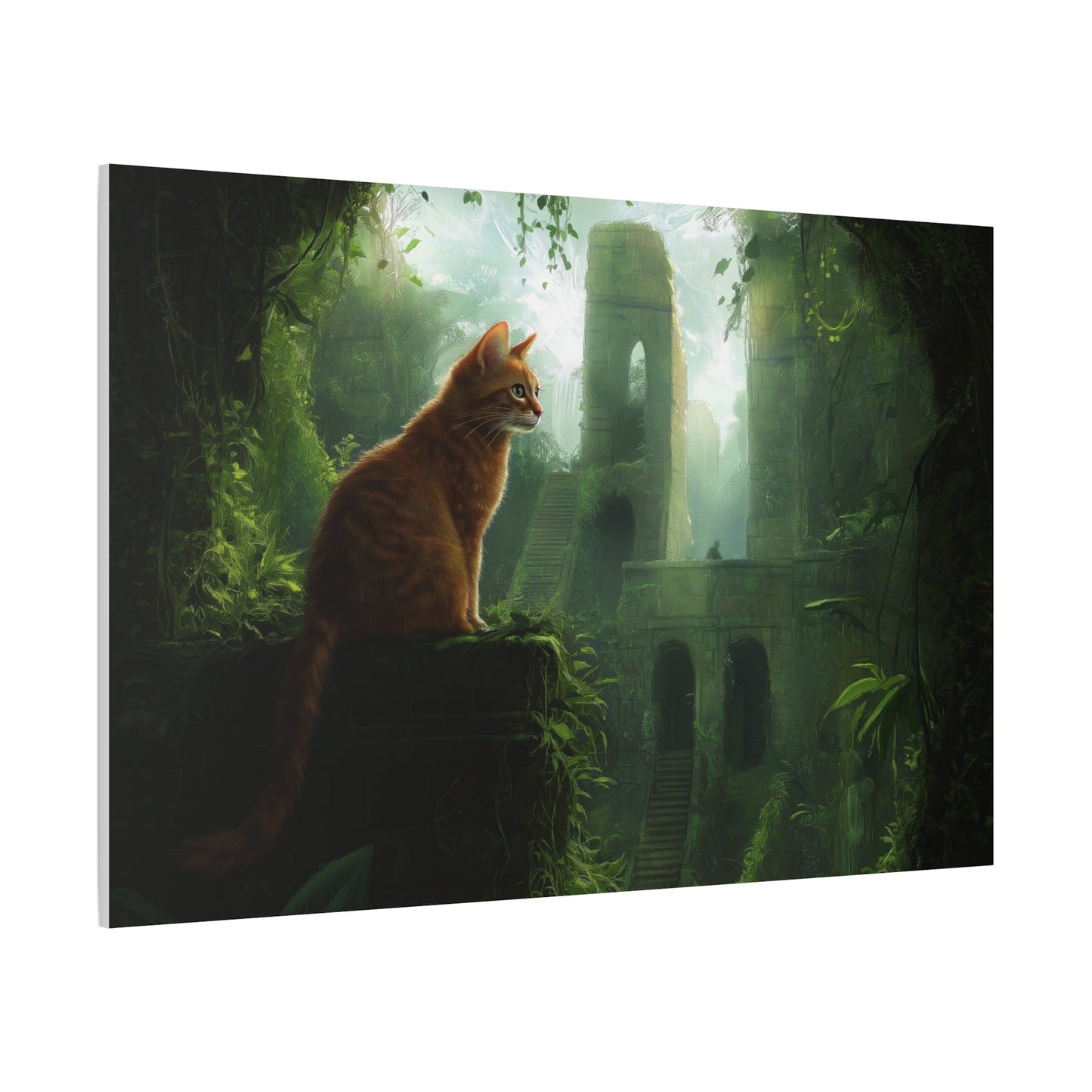 Aventure Mystique du Chat Explorateur