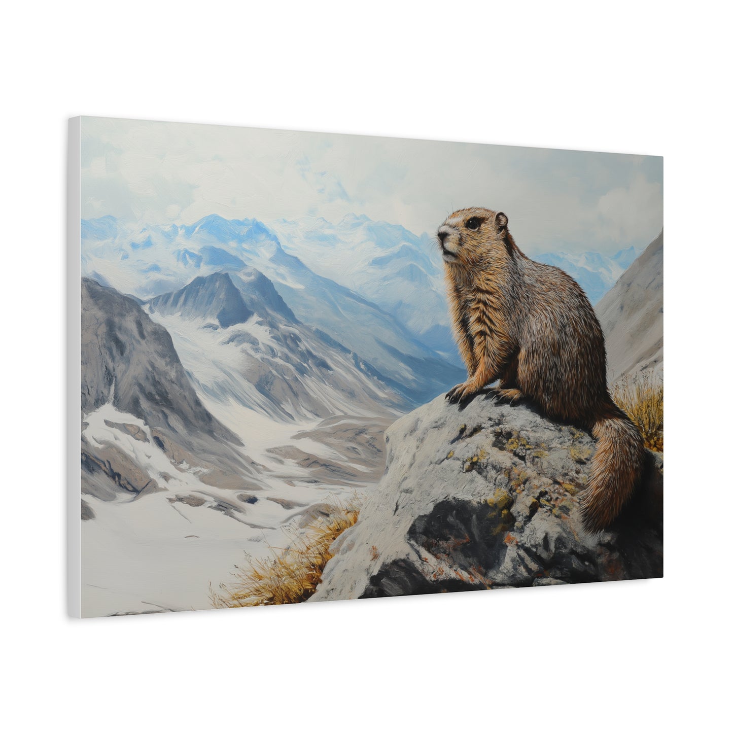 Marmotte Majestueuse des Sommets Alpins