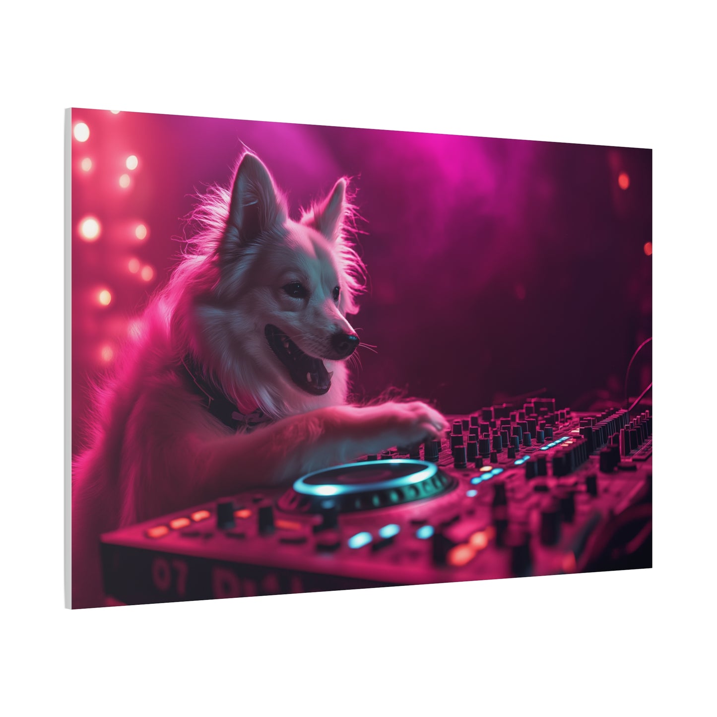 DJ Canin en Pleine Action