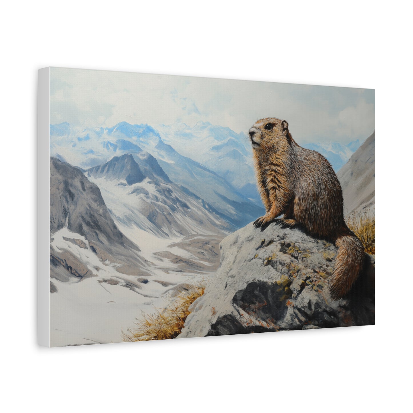 Marmotte Majestueuse des Sommets Alpins
