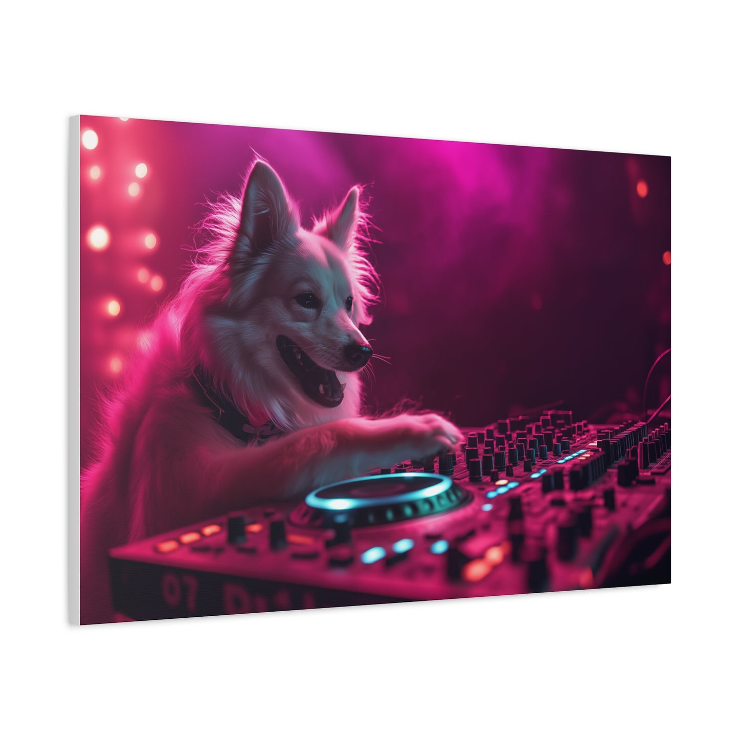 DJ Canin en Pleine Action