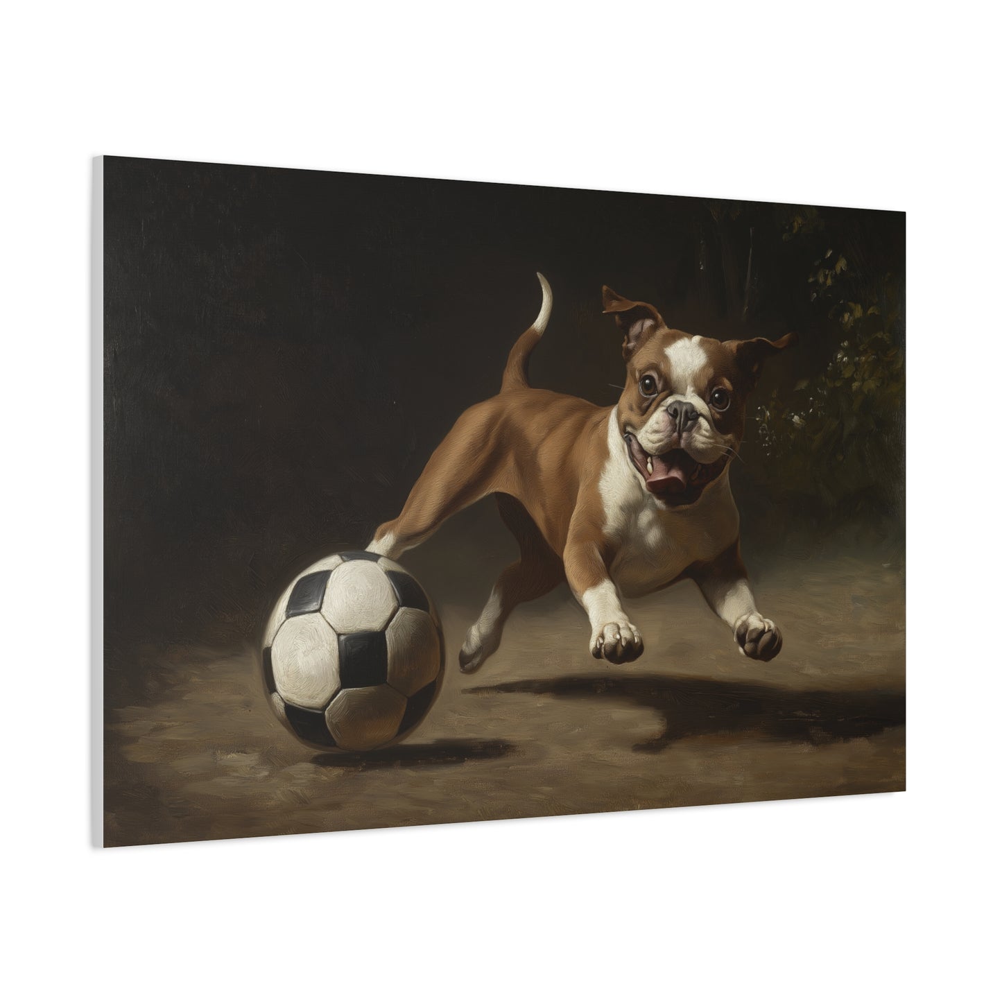 Chien jouant avec un Ballon