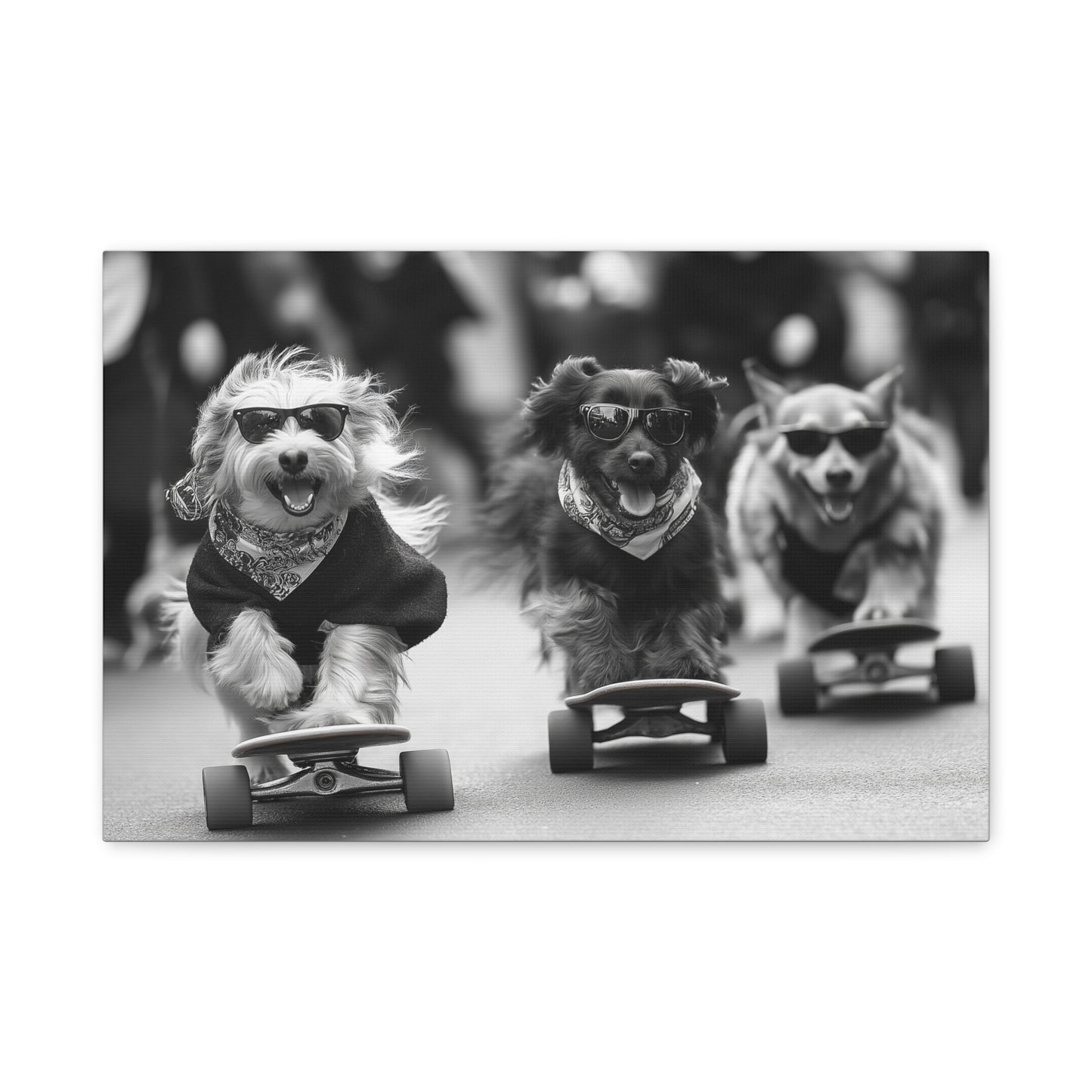 Chiens en Véloce Style Skateboard