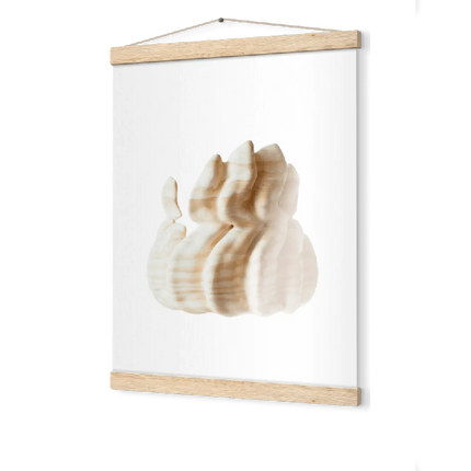 Collection image for: Affiches avec baguettes