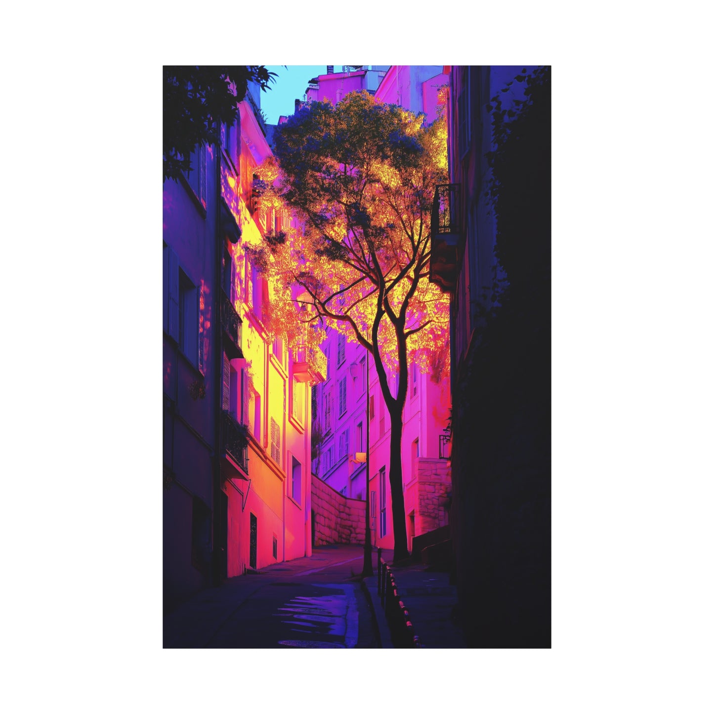 Éclat de Couleurs Urbaines dans les Rues du Panier