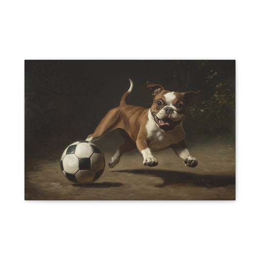 Chien jouant avec un Ballon