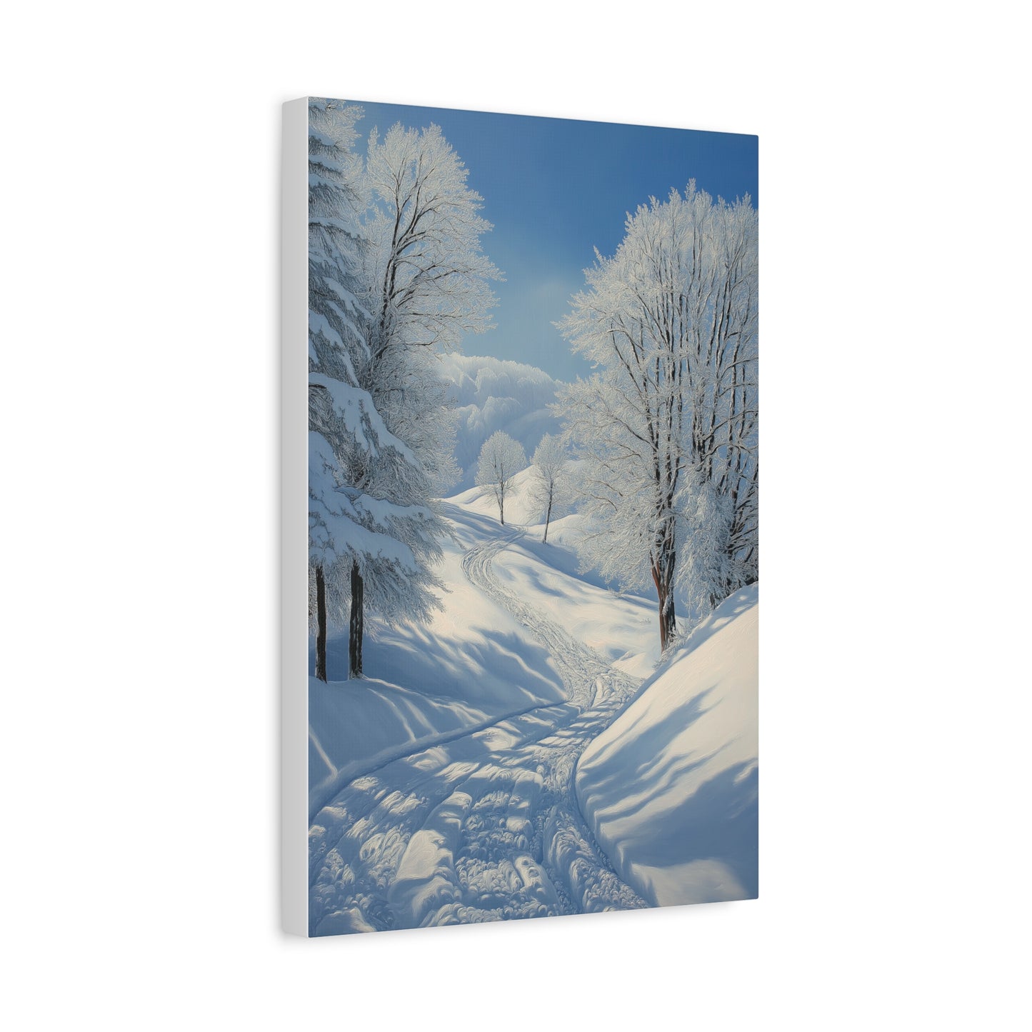 Évasion Hivernale : Sérénité Enneigée
