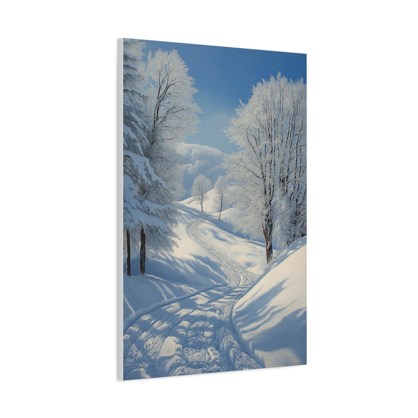 Évasion Hivernale : Sérénité Enneigée