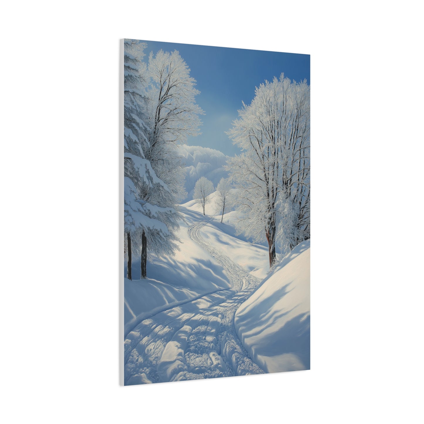 Évasion Hivernale : Sérénité Enneigée