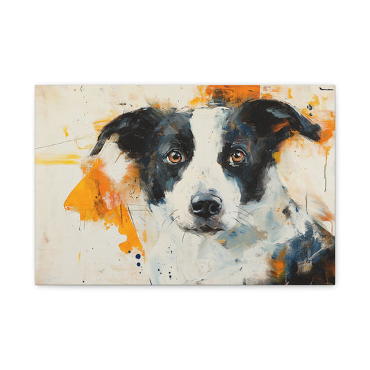 Chien et Couleurs