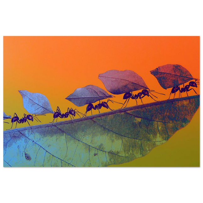 3f5517ad-f61b-4f68-bd2e-1318fe0c2955