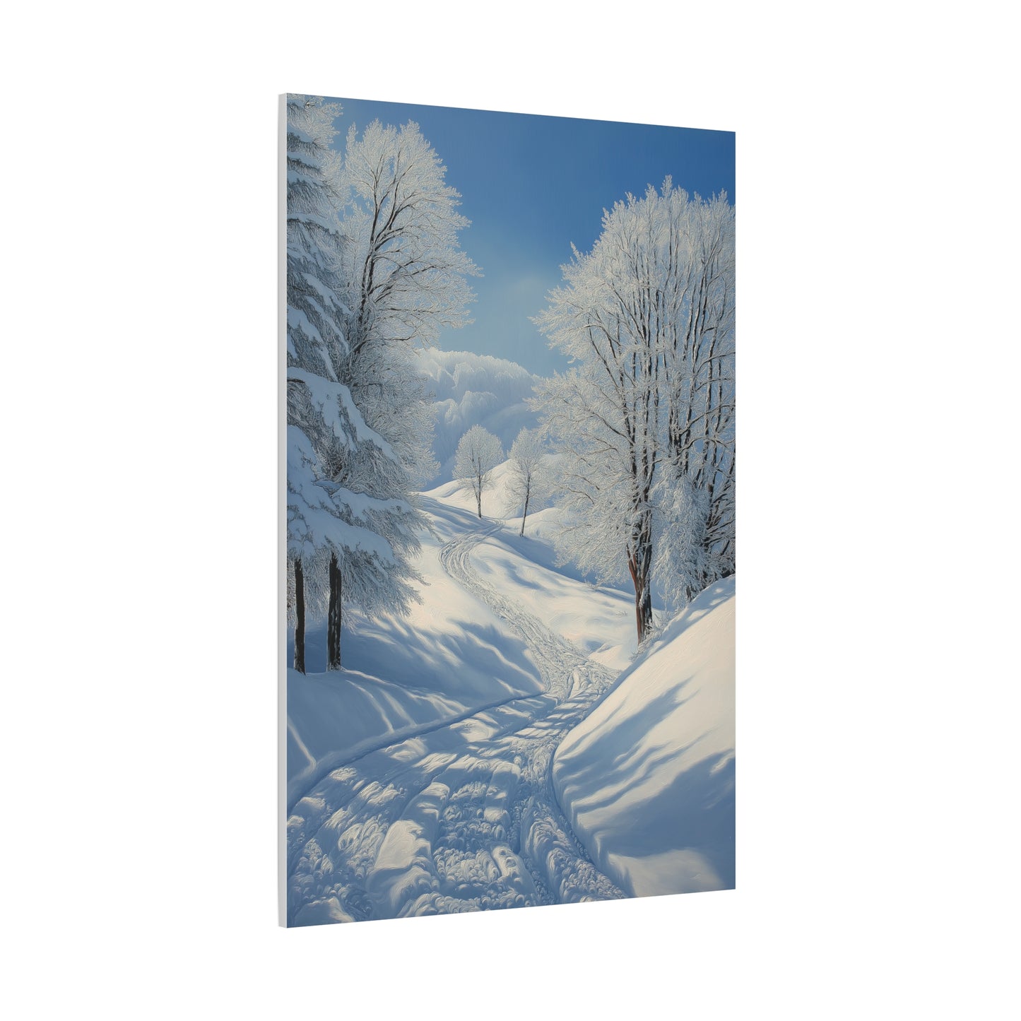 Évasion Hivernale : Sérénité Enneigée