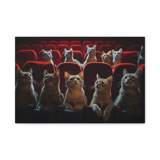 Chats au Cinéma : Soirée Câline