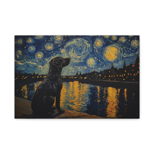 Chien sous les étoiles scintillantes