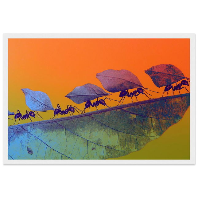 667076c2-1695-41e9-80a1-72081fdb651a