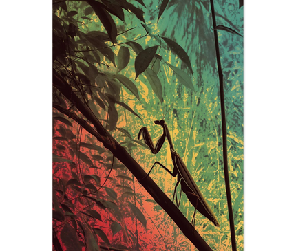 a58f6d6e-610e-45e7-8c72-88ac006f3416