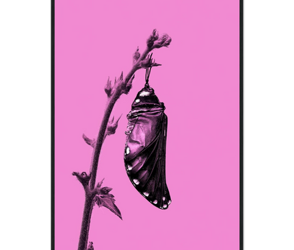 e4bbee4d-7a03-4539-aff7-4a942779a0a9