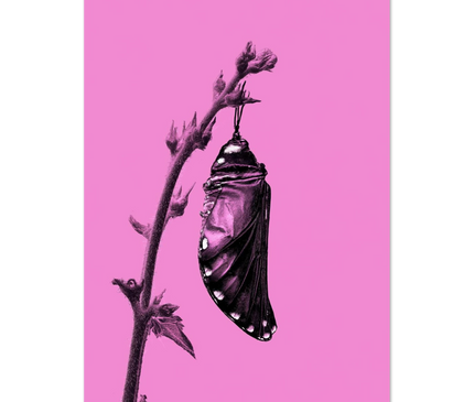 e71ae6d1-d028-4c5c-9f20-4f8dd48c1ae9
