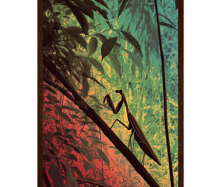 fbf4bd25-ab2d-429e-9ce5-14b87dade3c6